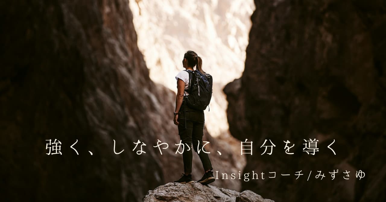 プロフィール