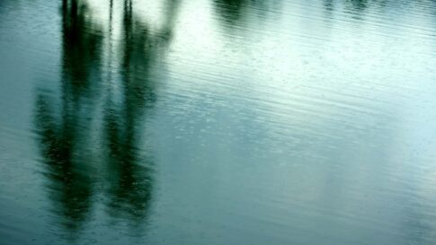 木が映り込む湖面の写真